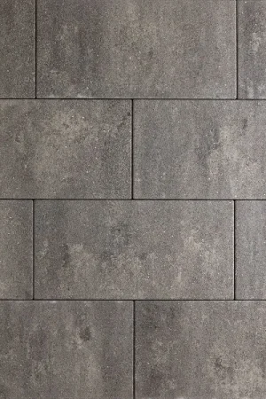 SV Oprit Promosteen 30x60x6 cm Donkergrijs Flitsaanbieding