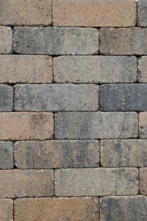 Antieke Trommelsteen Dikformaat 6cm Musselkalk Aanbieding