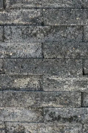 Bestel Nu Catrock 31x11,5x10 cm Grijs/Zwart