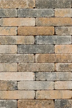 Bestel Nu Antieke Trommel Waalformaat 7 cm Musselkalk