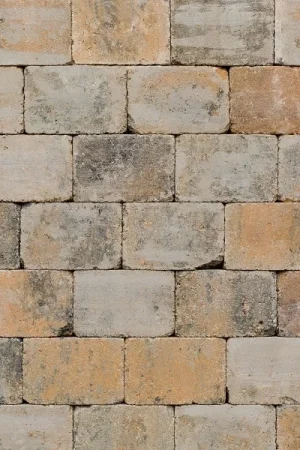 Trommelsteen 21x14x7 Musselkalk Aanbieding