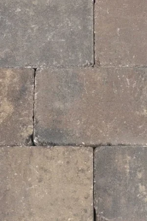 Trommelsteen 20x30x6 Chelsea Nieuw