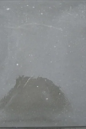 Lage Prijs Betontegel 60x60x6 Grijs KOMO