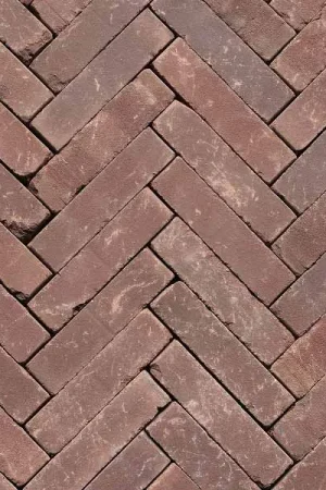 UWF60 Auxo getrommeld Beperkt Aanbod