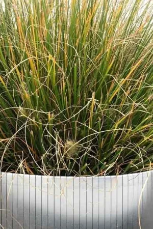 Laatste Versie ECCOborders Easyfix CS 150 Galva