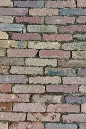 Voordeelprijs Oud gebakken waalformaat op pallet