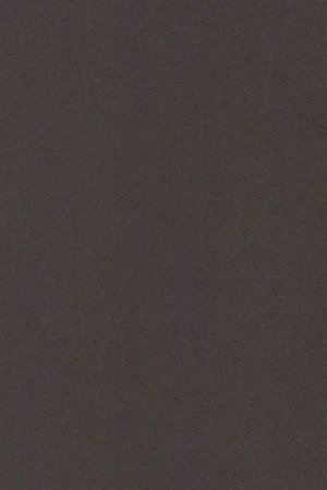 Nu Kopen Multiplex werkblad 1z Duropal F73010 TC