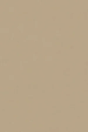 Alleen Vandaag FENIX&reg; NTM Bloom 0719