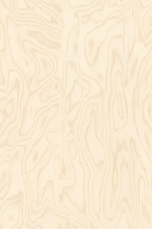 Abet HPL 1977 Papier Veilige Betaling