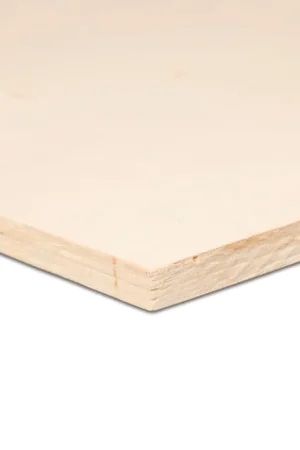 Alleen Vandaag Populieren multiplex 250x122cm FSC