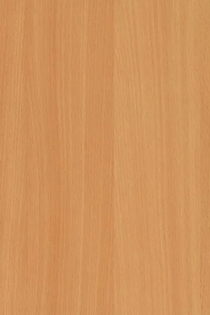 Veilige Betaling Duropal (Pfleiderer) HPL R24034 VV