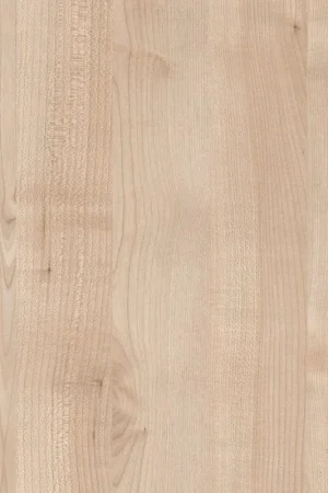 Actieprijs ABS KB bestemd voor Pfleiderer R27044 FL