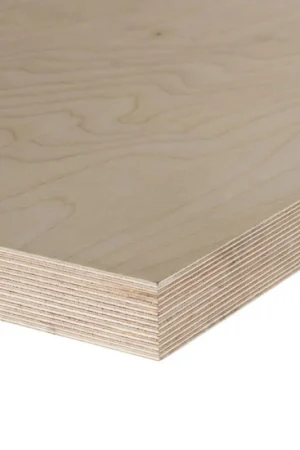 Berken Multiplex CP/CP Koop Vandaag