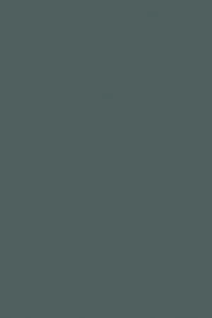 ABS KB bestemd voor Finsa 465B Soft III Flitsaanbieding