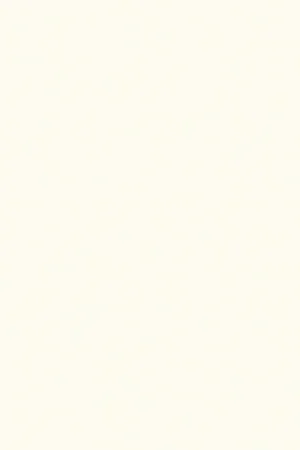 ABS KB bestemd voor Pfleiderer W10410 SD Goedkoop