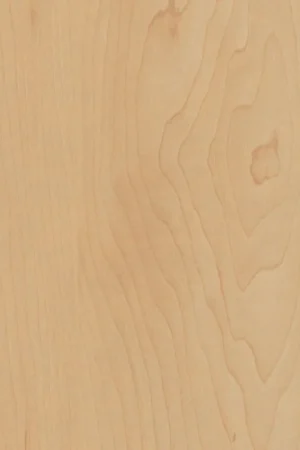 Actieprijs ABS KB bestemd voor Pfleiderer R27024 VV