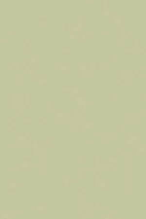 UNILIN vochtwerend spaanplaat 0U817 BST Premium