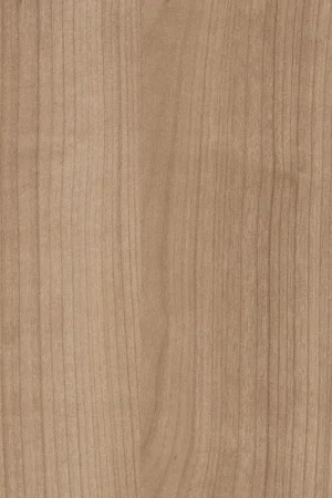 ABS KB bestemd voor Finsa 20B Balm Hoge Kwaliteit