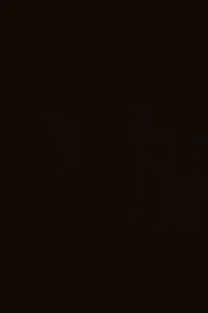 Veilige Betaling Finsa Superpan Fabric Suede Negro