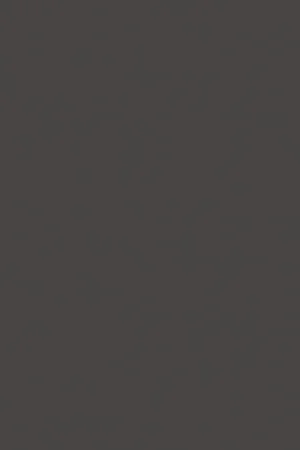 Alleen Vandaag Finsa Superpan 71A Balm