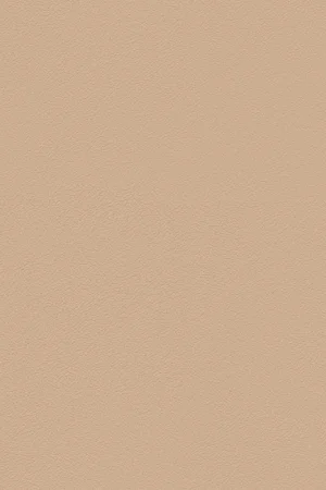 ABS KB bestemd voor Finsa 131 Nude Gecertificeerd