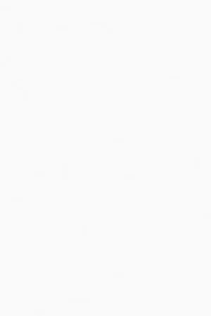 ABS KB bestemd voor Finsa 040 Supermate Koop Online