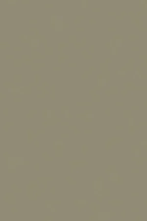 ABS KB bestemd voor Finsa 663B Balm Flitsaanbieding