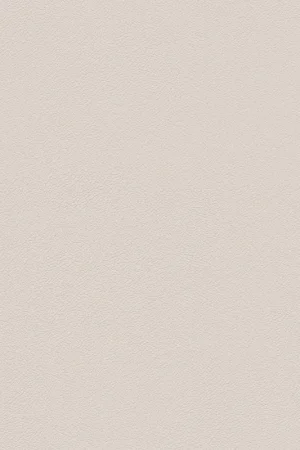 ABS KB bestemd voor Finsa 36W Nude Must-Have