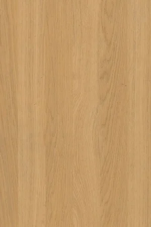 ABS KB bestemd voor Finsa 49D Mesura Laatste Kans