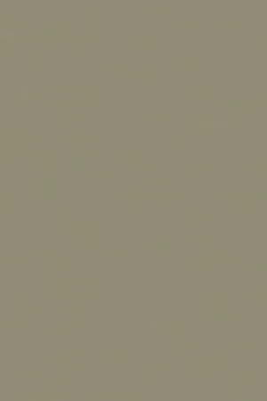 Veilige Betaling Finsa Superpan 663B Soft III