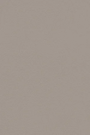 ABS KB bestemd voor Finsa 653B Nude Direct Verzonden