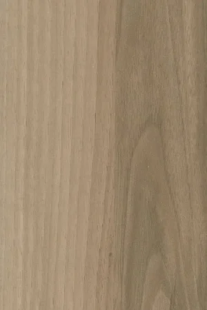 ABS KB bestemd voor Finsa 81V Balm Weekendaanbieding