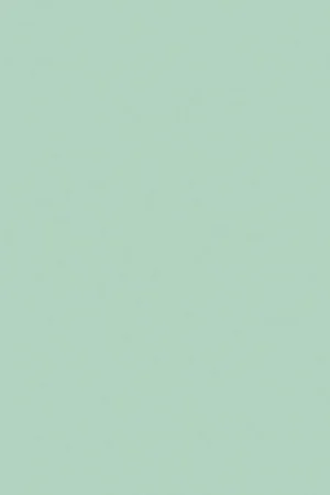 Veilige Betaling Thermopal spaanplaat U19006 SD