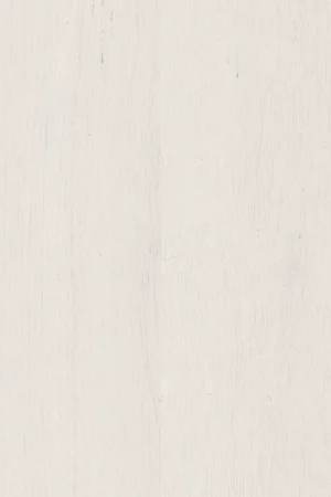 Alleen Vandaag Finsa HPL 25V Mesura