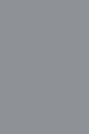 ABS KB bestemd voor Pfleiderer U12248 SD Alleen Vandaag