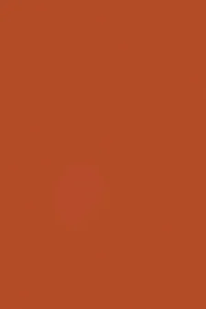 ABS KB bestemd voor Pfleiderer U16051 SD Snelle Levering