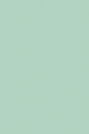 Aanbieding ABS KB bestemd voor Pfleiderer U19006 SD