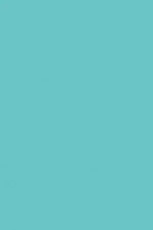 ABS KB bestemd voor Pfleiderer U18500 SD Uitverkoop