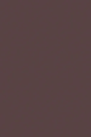 ABS KB bestemd voor Pfleiderer U17012 SD Direct Verzonden