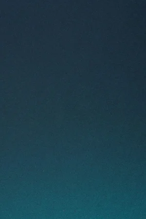 Arpa HPL 2632 Lucida PF Favoriet