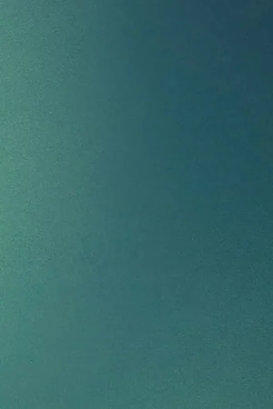 Arpa HPL 2631 Lucida PF Lage Kosten