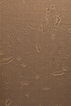 Alleen Vandaag Homapal 500/502