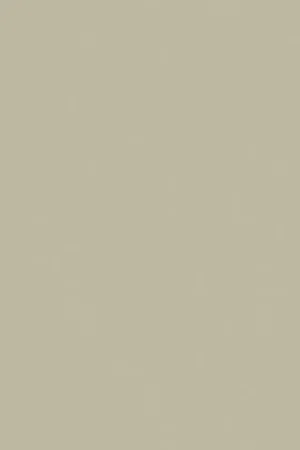 Voordeelprijs UNILIN Evola kantenband 0U815 BST