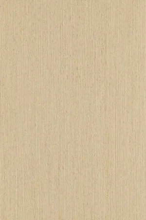 Voordeelprijs Infinite Wood Decoflex Hydra Birch