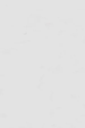 Weekendaanbieding SolidTrends&reg; BB-023