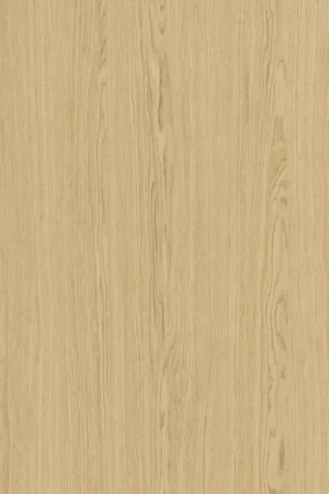 Aanbieding Shinnoki ABS band+fineer Ivory Oak