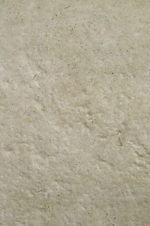 Bestseller Michel Oprey - Travertin - 60x60x2 cm - Crosscut Beige