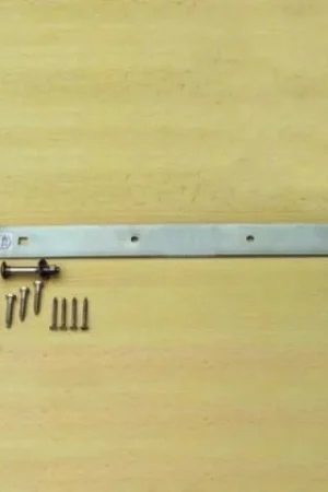 Alleen Vandaag Carpgarant - Heng 500 mm Rvs