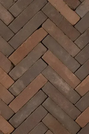 Tuinvisie gebakken bestrating Rustiek Waalformaat UWF60 Carpo Must-Have