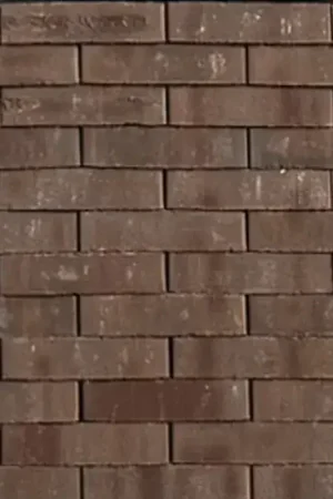 Tuinvisie gebakken bestrating Bonn Waalformaat WF60 Ongetrommeld Meest Verkocht